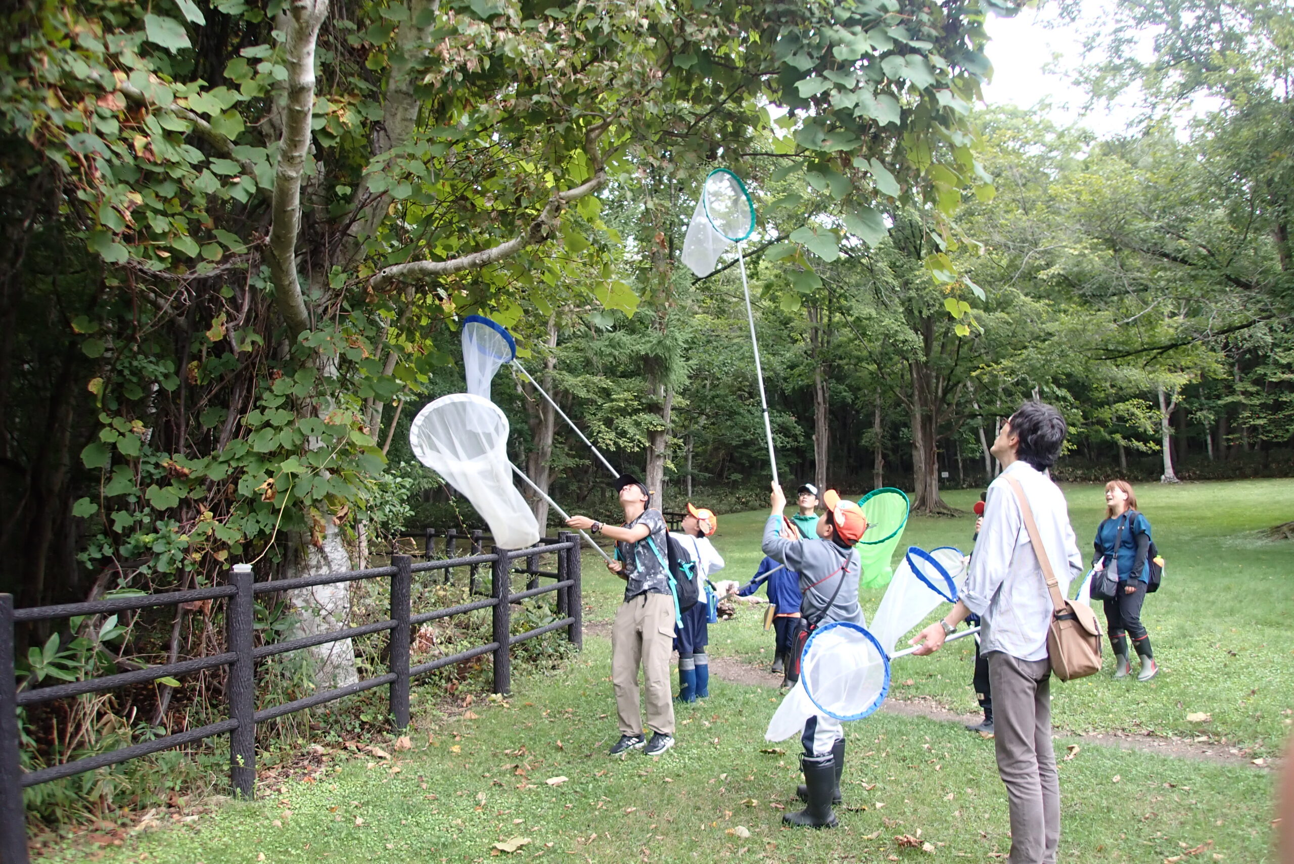 湿原でトンボを採る子供たち