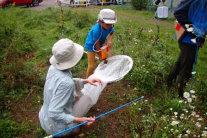 ミニヤンマ団の様子