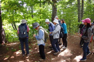 参加者の皆さんの様子
