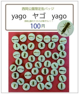 ヤゴの缶バッチ-01フライヤー