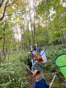 森の奥に向かう子どもたち