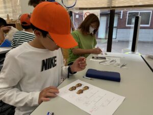 トンボクイズを解く子ども