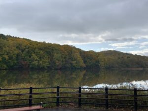 紅葉が始まった樹々と池