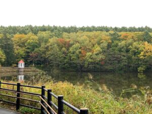 紅葉が始まった樹々と池