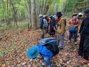 観察しているお客さん