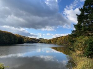 池に青空が移る様子