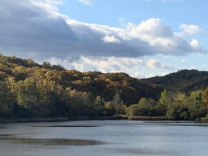 池の対岸の山の紅葉