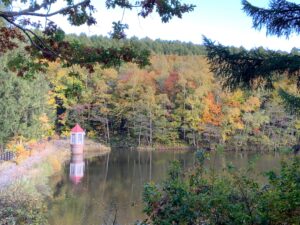 池と紅葉の様子
