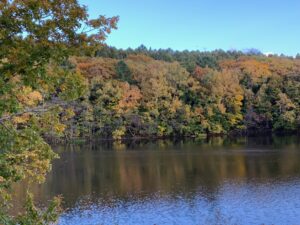 池と紅葉の様子