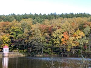 池と紅葉の様子
