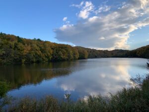 池と紅葉の様子
