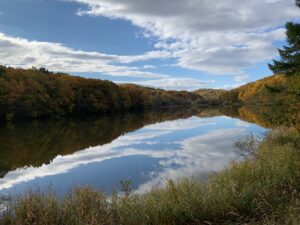 池に映る青空と森の紅葉