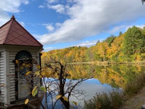 池に映る青空と森の紅葉