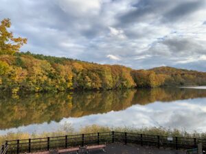 池に映った紅葉した樹々