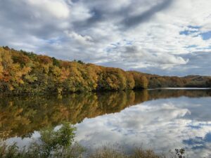 池に映った紅葉した樹々