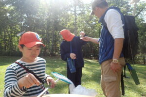 トンボに卵を産ませている子供