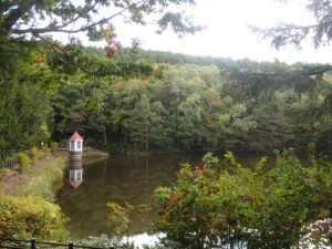 赤い屋根の取水塔と森に囲まれた池