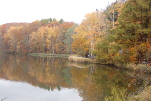 池に映る紅葉