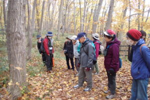 園内を散策する参加者とボランティアさん