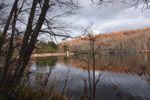 池と取水塔の様子