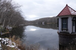 池の様子
