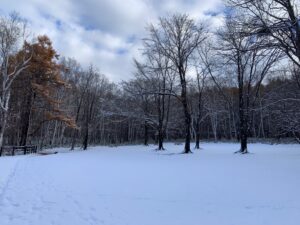 雪の積もった園内の様子