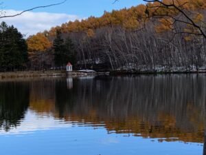 黄色く紅葉したカラマツが映った池