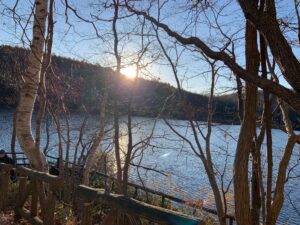 池の向こうから昇る朝日