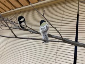 フェルトで作られたシジュウカラの展示物