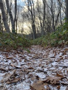 雪のうっすら積もった園内