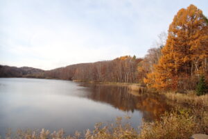 池と落葉の進んだ森