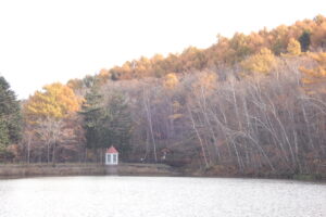 取水塔と落葉の進んだ森