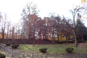 園内の樹々の様子