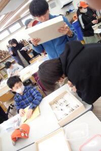 先輩に標本の同定をしてもらい子ども