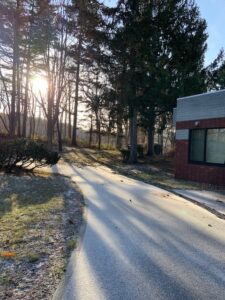 雪がうっすらと積もった園路