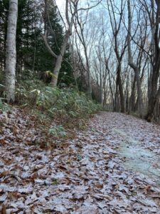 雪がうっすらと積もった園路
