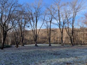 霜の降りた広場