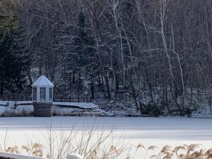 凍った池