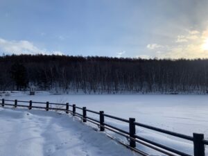 雪に閉ざされた池と背後の森