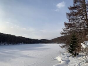 雪に閉ざされた池と背後の森