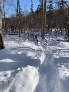 雪の積もった園路の様子