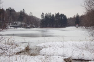 氷の表面が溶けている池