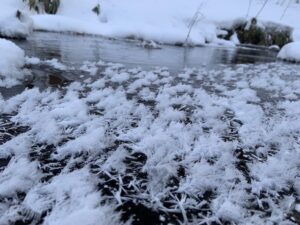 フロストフラワー