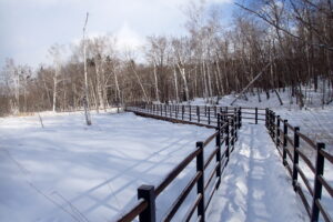 雪の積もった湿原と木道の様子