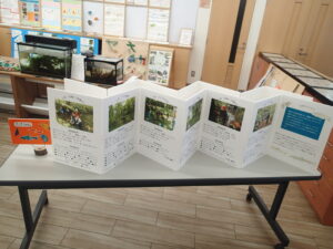 報告展の様子