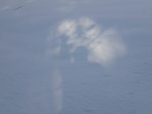 雪の上の人の影