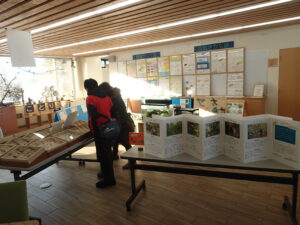 標本箱を見る来園者