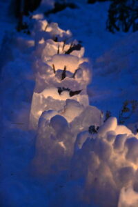 スノーキャンドル