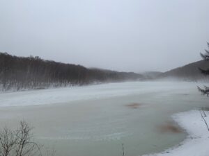 霧のかかった池