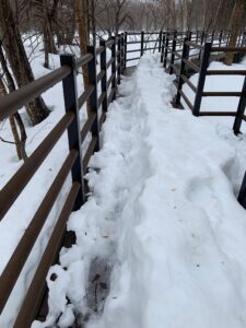 木道の雪の様子